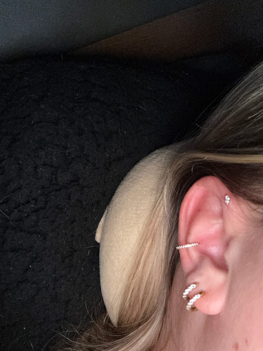 Customer photo review of Conch Clicker | Titan Piercing