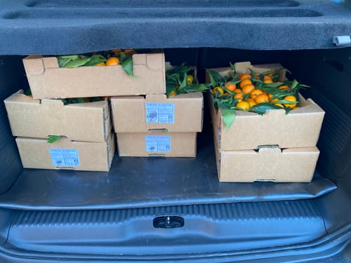 Michel S. review of Clémentines Bio - Origine Corse image 1 out of 1