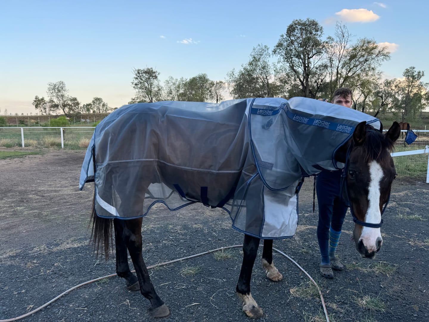 Customer photo review of LE Defender Anti-Insect Fly Rug