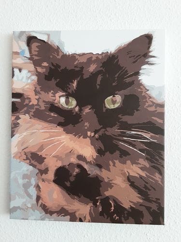 Customer photo review of Paint by Numbers Custom Kit