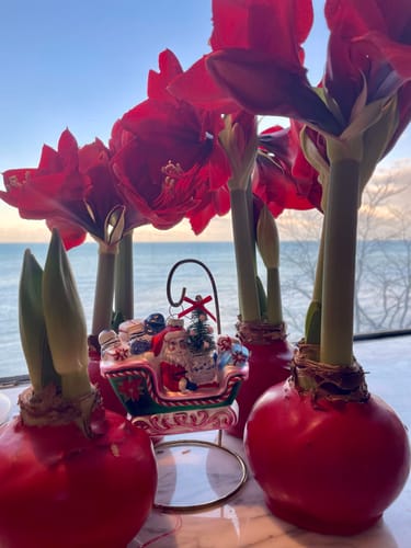 Customer photo review of Chinoiserie Sleigh Ride Ornament