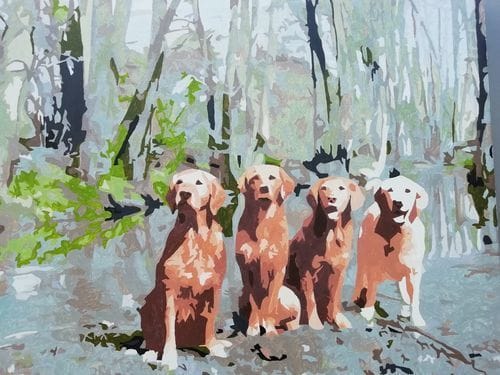 Customer photo review of Paint by Numbers Custom Kit