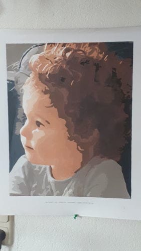 Customer photo review of Paint by Numbers Custom Kit