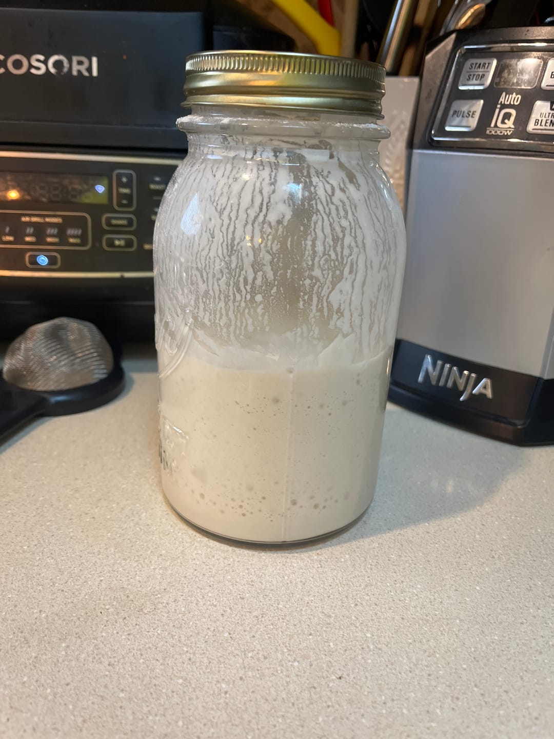 Customer photo review of Dehydrated Sourdough Starter Kit