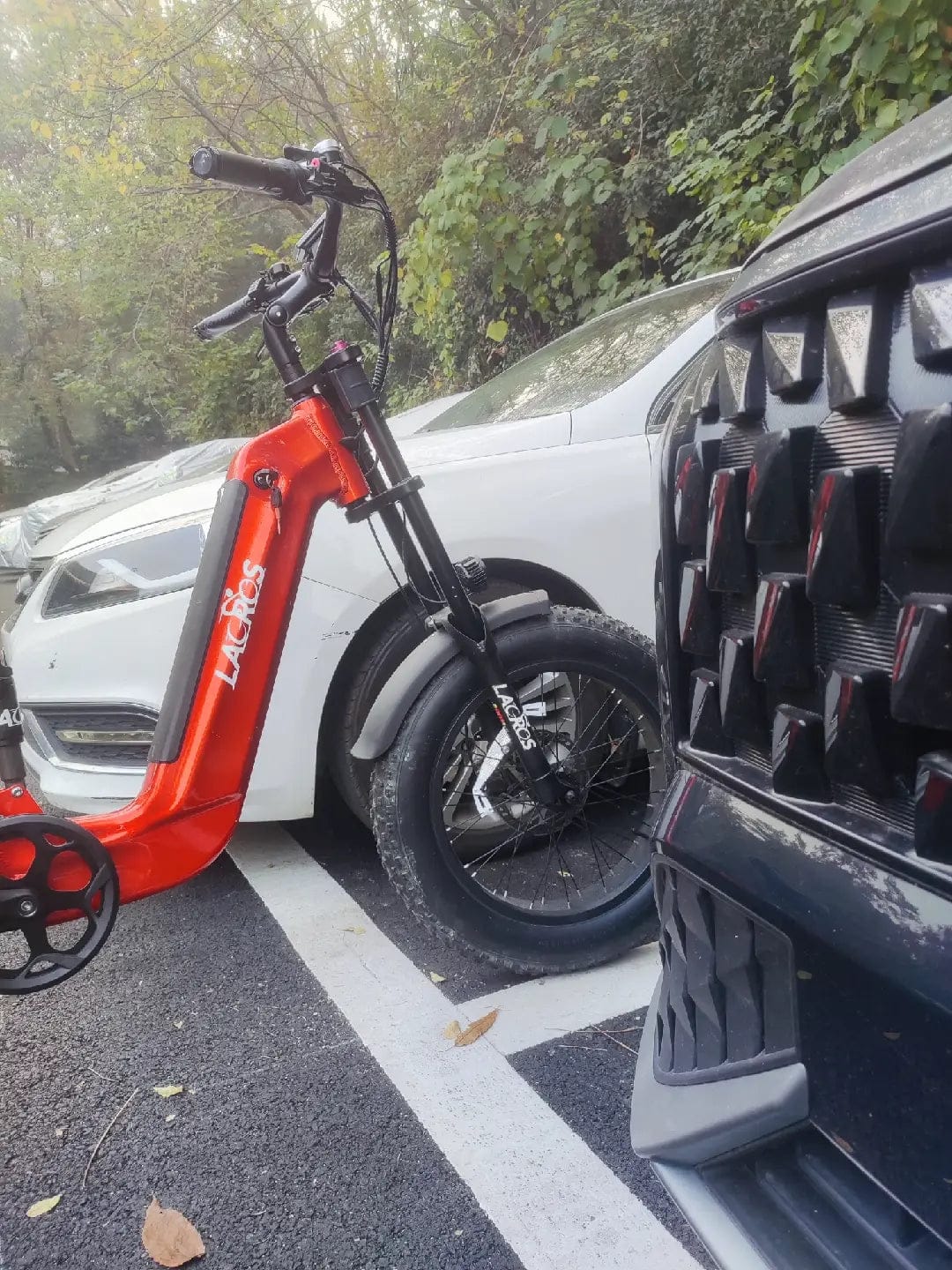 Customer photo review of Cyclone