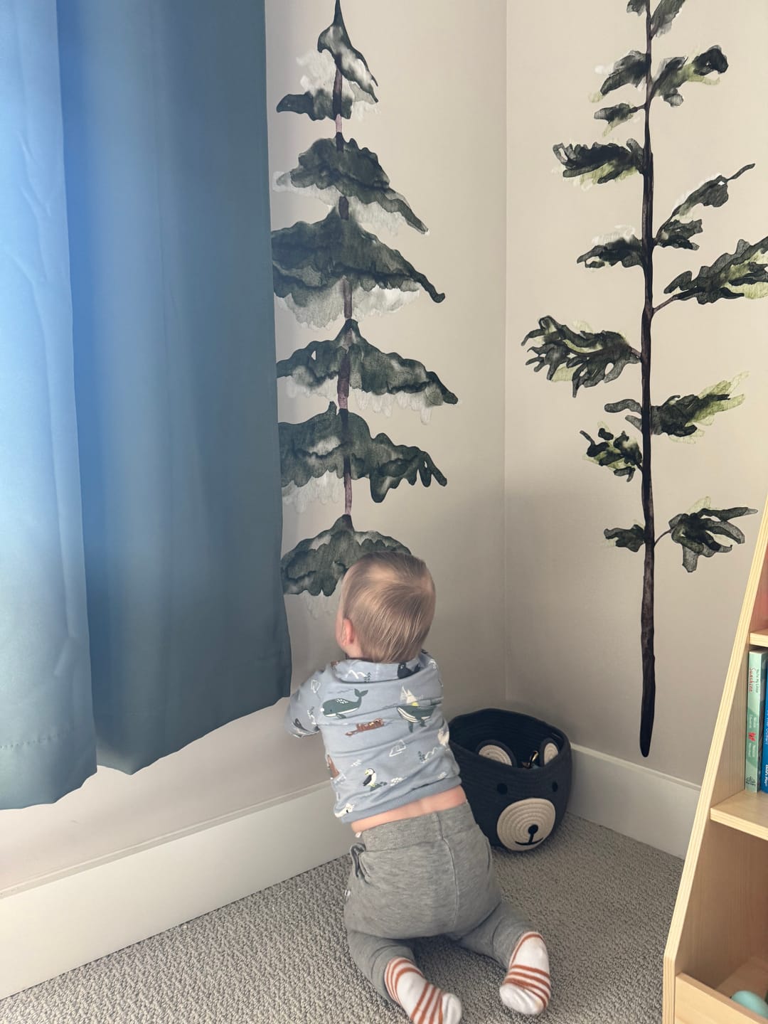Customer photo review of Large Watercolor Pine Tree Removable Wall Decal
