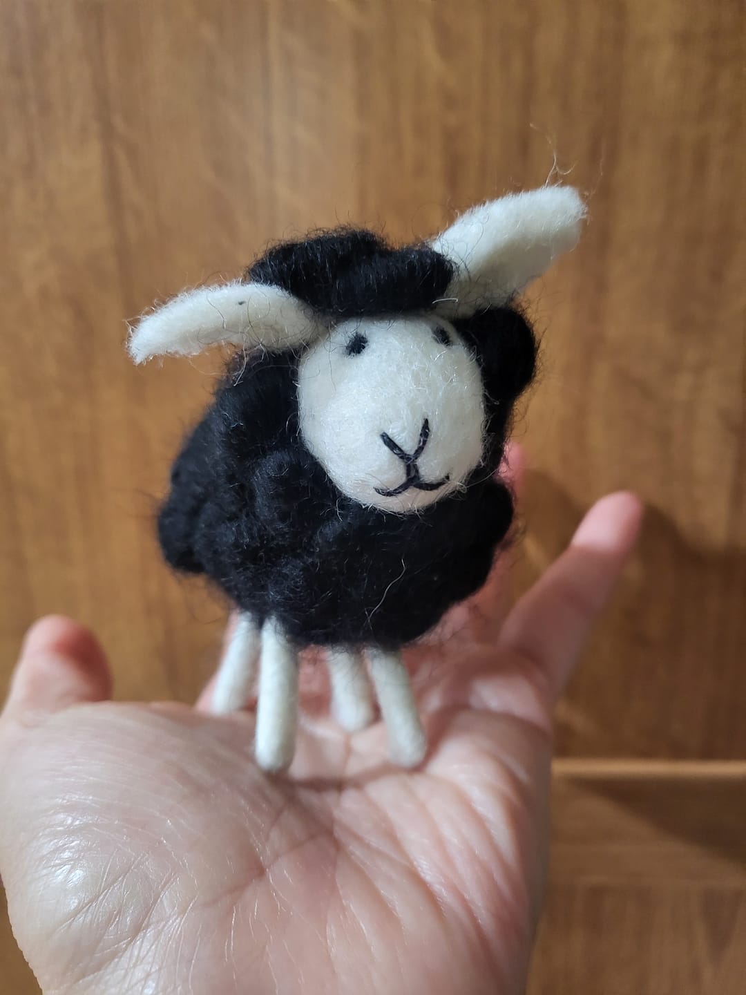 Customer photo review of Felt Baa Baa Black Sheep Toy