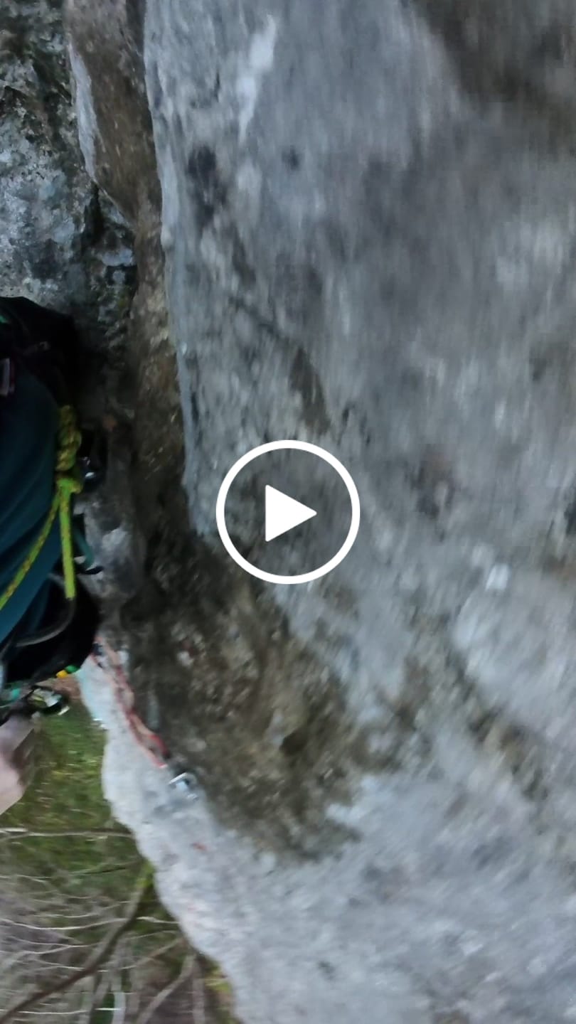 Customer video review of "Soft-Cinch" - Lead Rope Solo Backfeed Preventer (5 Pack)