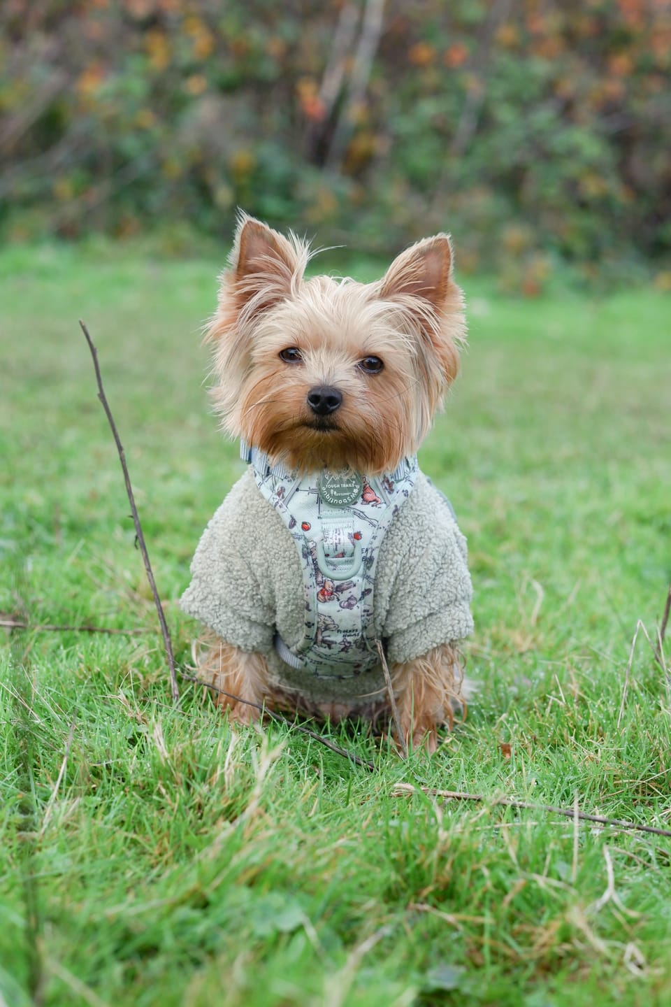 Customer photo review of Disney© Tough Trails™ Harness - 100 Aker Wood