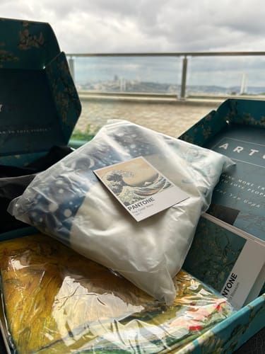 Customer photo review of The Great Wave off Kanagawa Plaj Havlusu