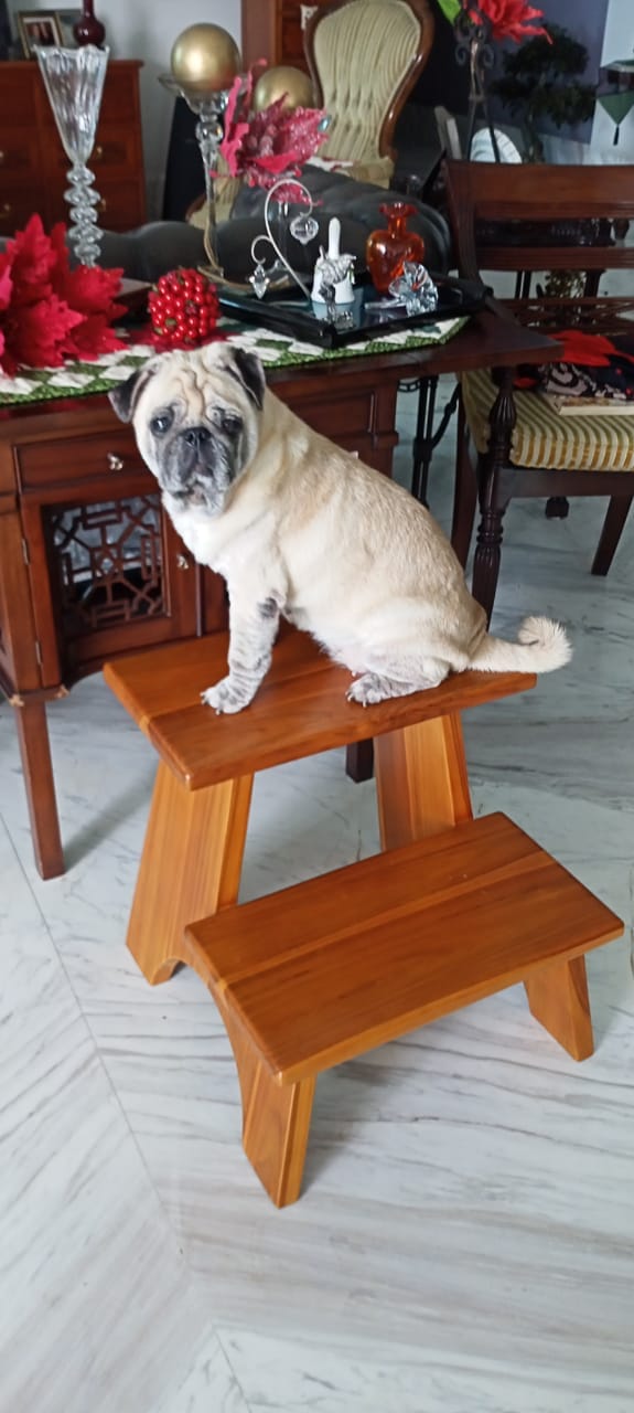 Customer photo review of Teak Wood 2-Step Stool