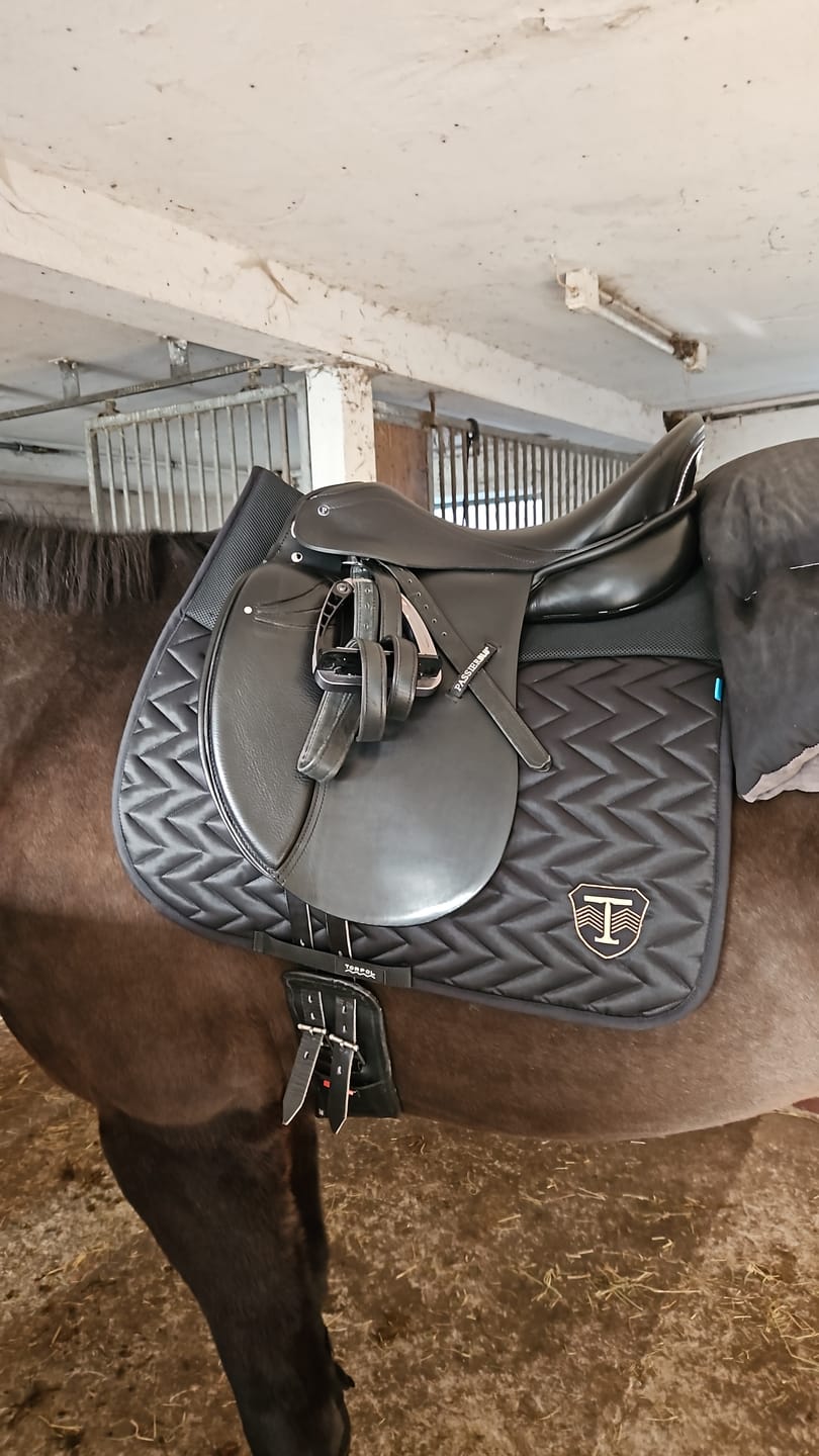 Customer photo review of TORPOL® Schabracke Classic mit Magnetfeld B-Nev™ Spring/Dressur
