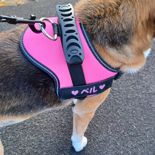 Customer photo review of FunFunPet カスタマイズペットチャーム