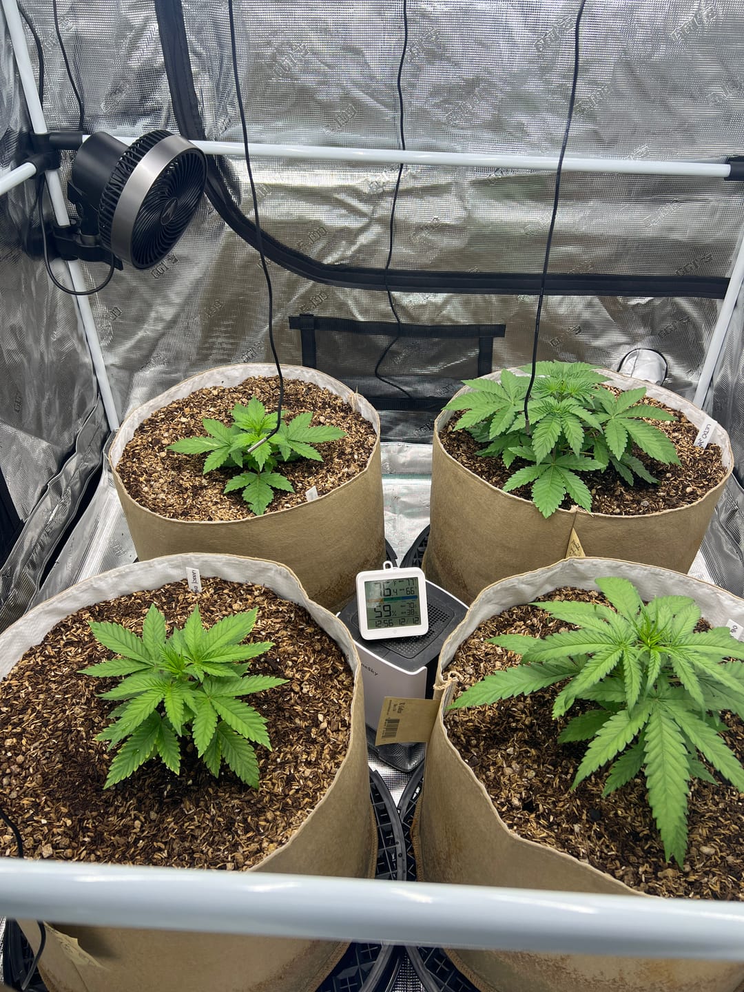 Customer photo review of BioVast Potting Soil (Water Only Mix)