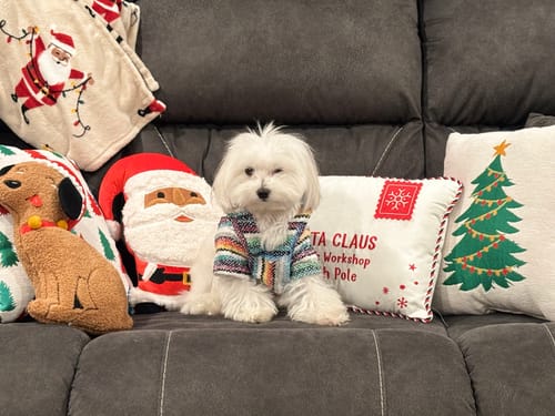 Customer photo review of Playa Poncho - Surprise Color