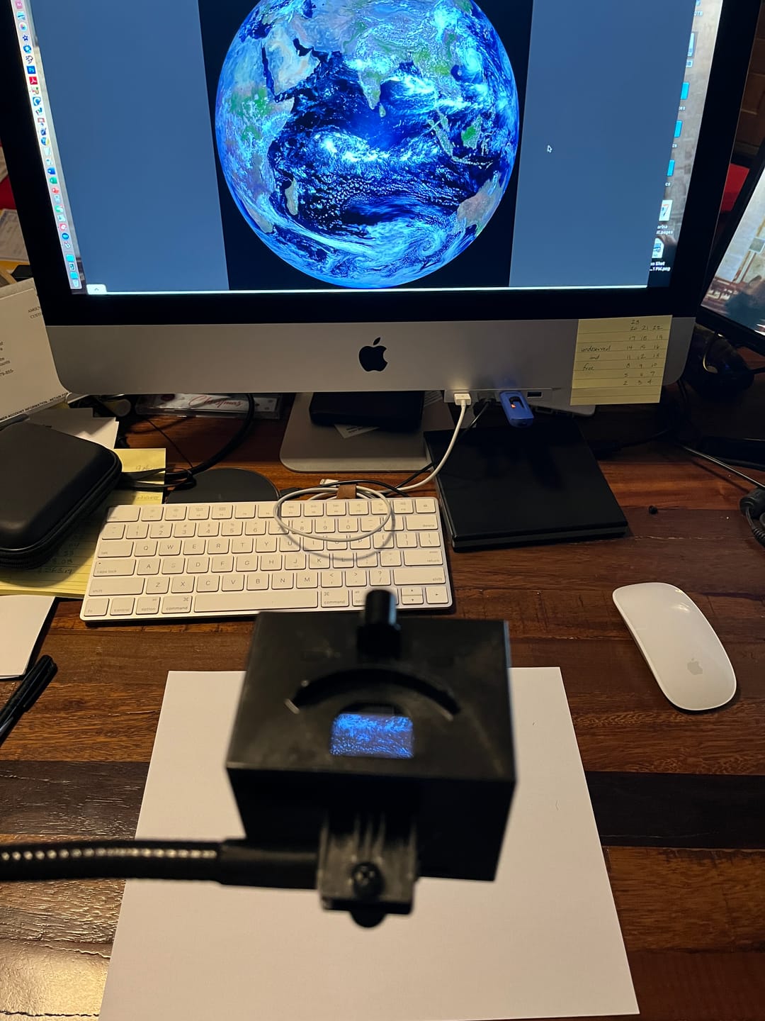 Customer photo review of LUCY mini