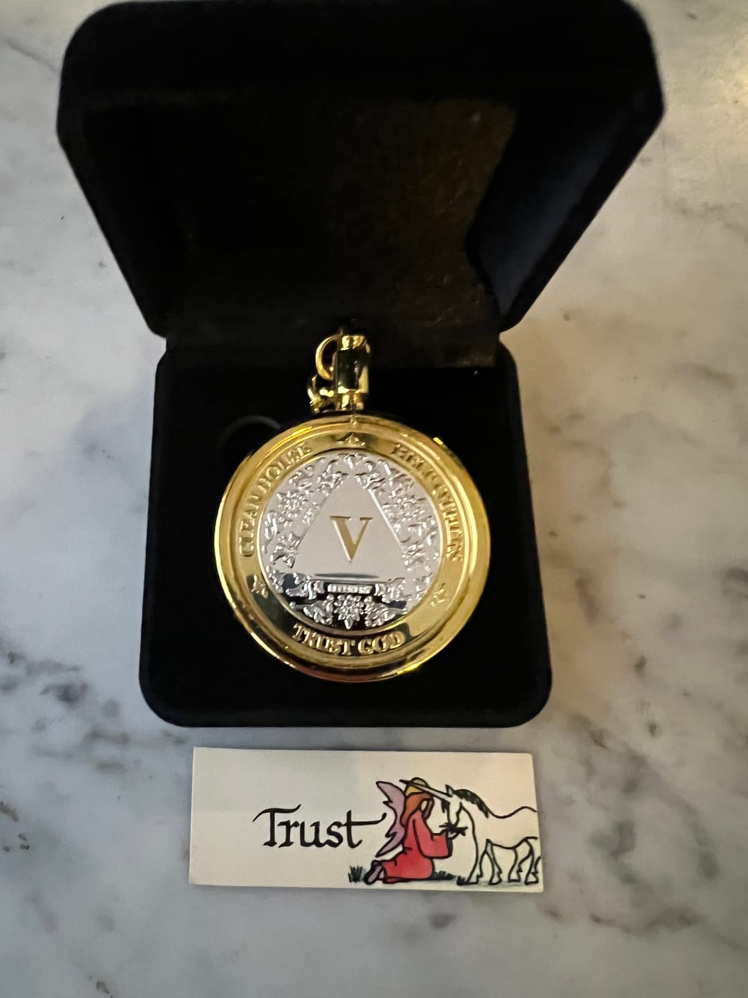 Customer photo review of 40mm AA Medallion Velvet Box - Specialty Chip/Coin/Token Holder