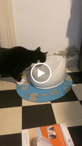 Customer video review of Black Deal: Keramikbrunnen + Premium-Zubehör