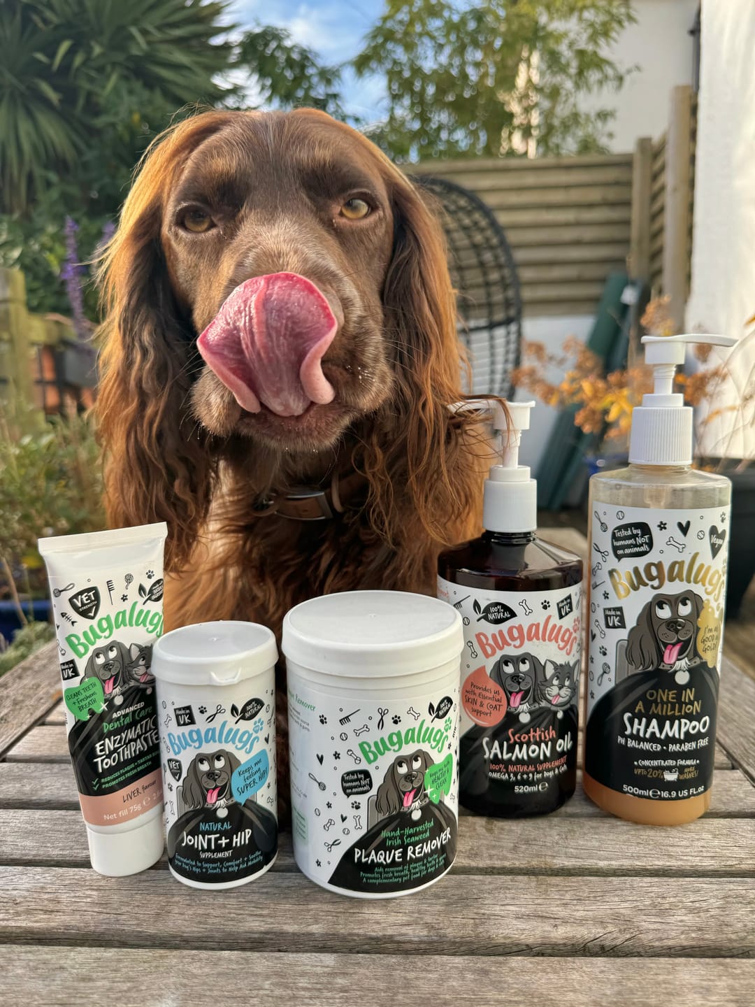 Customer photo review of Hand-harvested Irish Seaweed Plaque Remover for Dogs & Cats (200g)