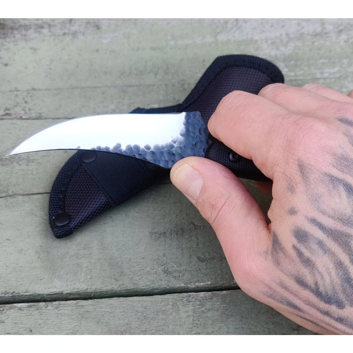 Customer photo review of Scorpion