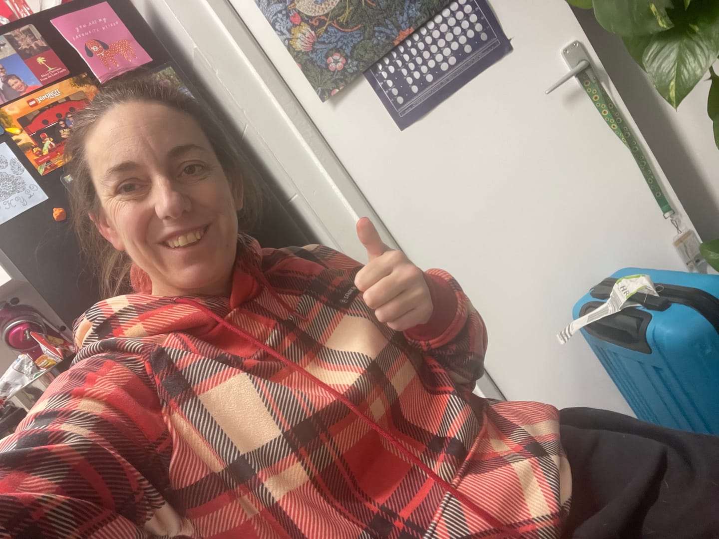 Customer photo review of Red Plaid Human Hoodie