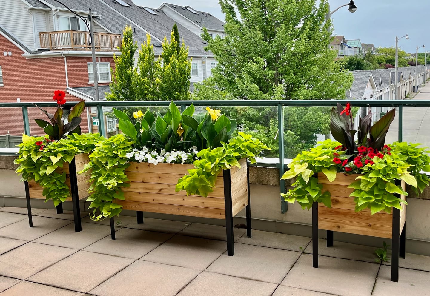 Customer photo review of 18" x 36" Planter Box - 24" Tall