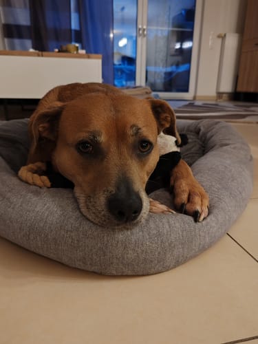 Customer photo review of Relax Time