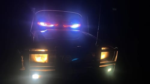 Customer photo review of LED Windshield Eyes For Car And Truck