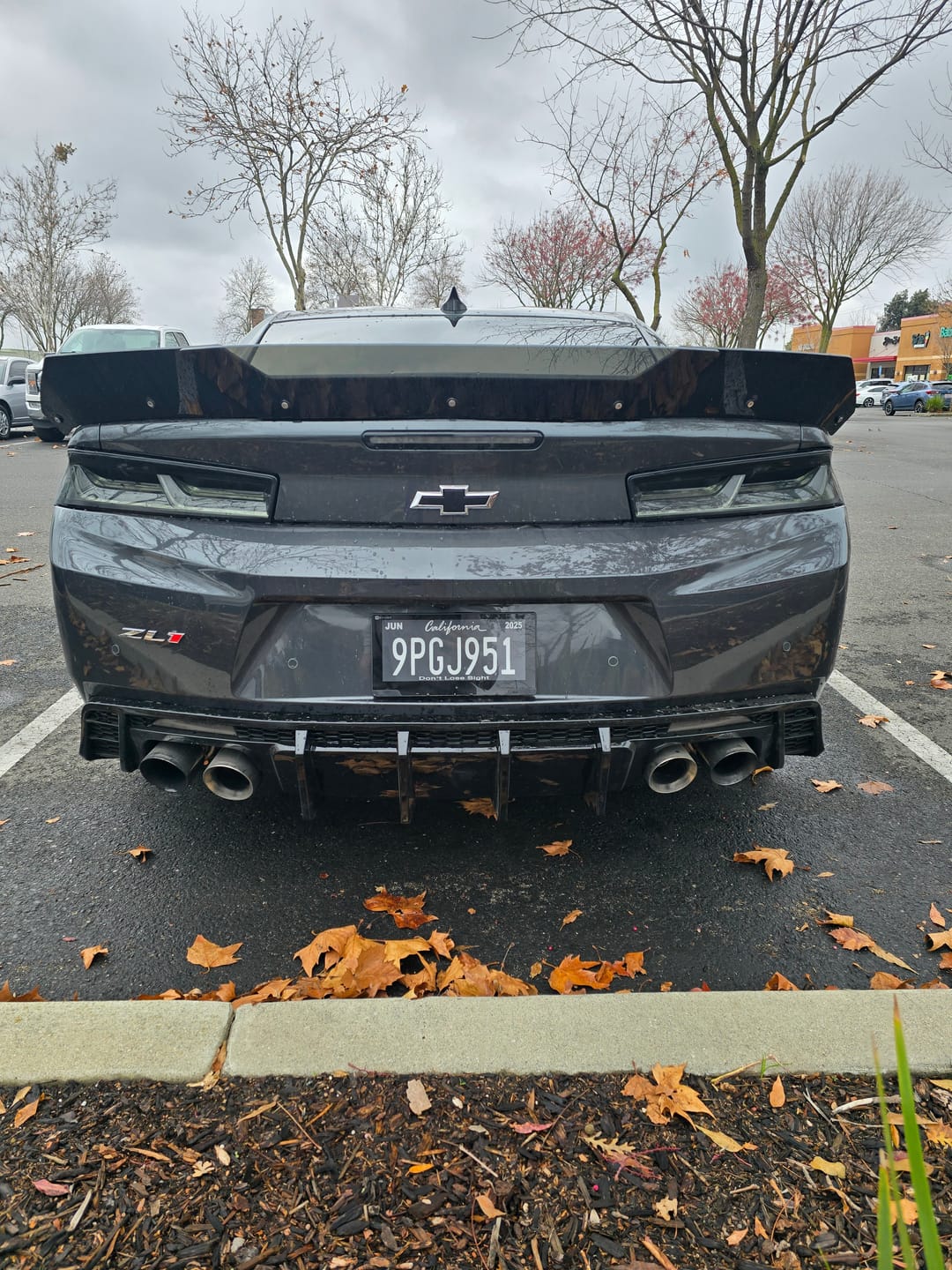 Customer photo review of 2017-2025 Chevy Camaro ZL1 / ZL1 1LE EVO Diffuser W/ Smokey Reflectors Gloss Black