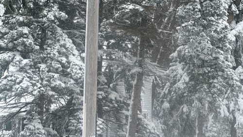 Customer photo review of Beastcage for iPhone + 1.7X Telephoto Lens Bundle