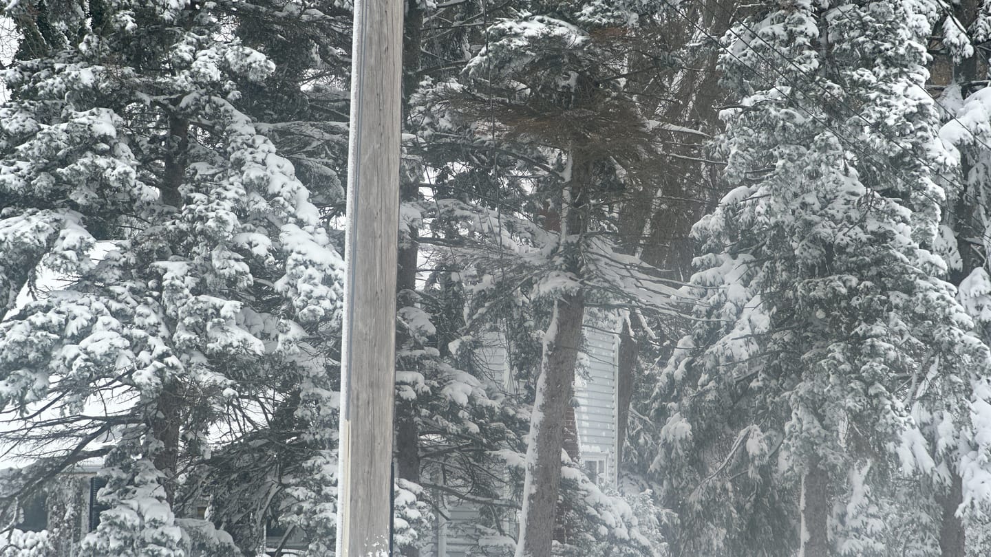 Customer photo review of Beastcage for iPhone + 1.7X Telephoto Lens Bundle