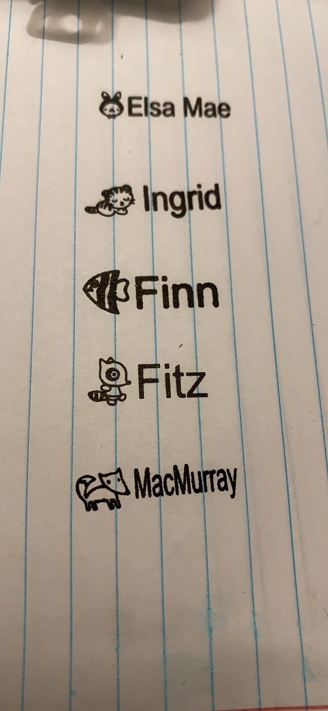 Customer photo review of Swivy™ Personalisierter Namensstempel (schwarze Tinte)