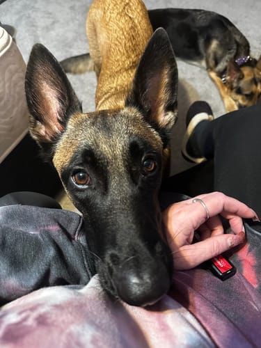 Customer photo review of Breeze Pro Disposable Vape