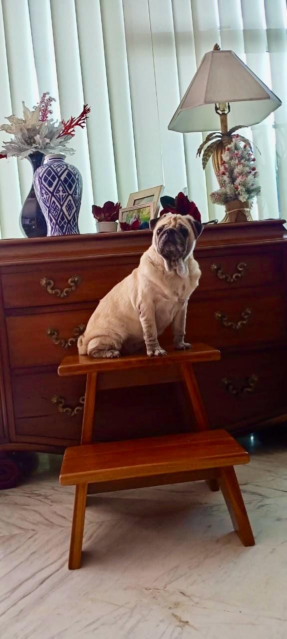 Customer photo review of Teak Wood 2-Step Stool