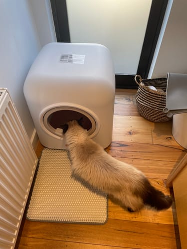 Customer photo review of Pawz Smart Cat Litter Box Automatic Self Cleaning with App Remote Control