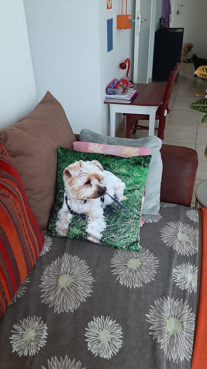 Customer photo review of Avec photo - Coussin personnalisé