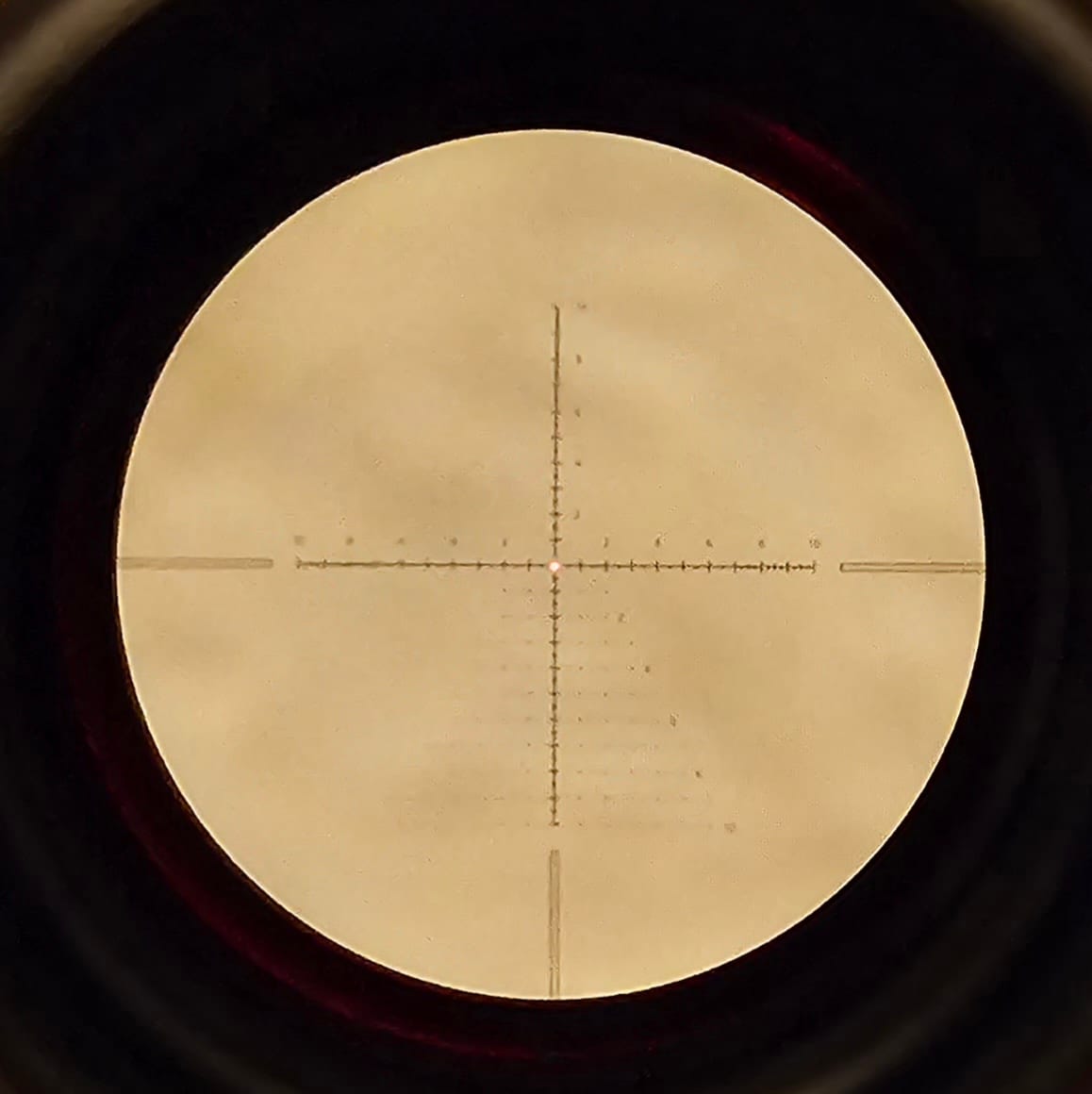 Customer photo review of Vector Optics SCOM-40 Veyron 3-12x44IR