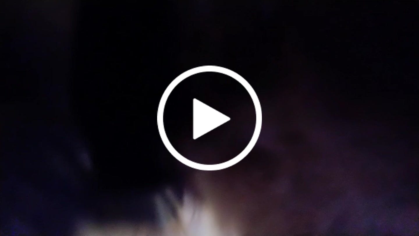 Customer video review of Tony en Lu Pups | Kleine hondensnacks