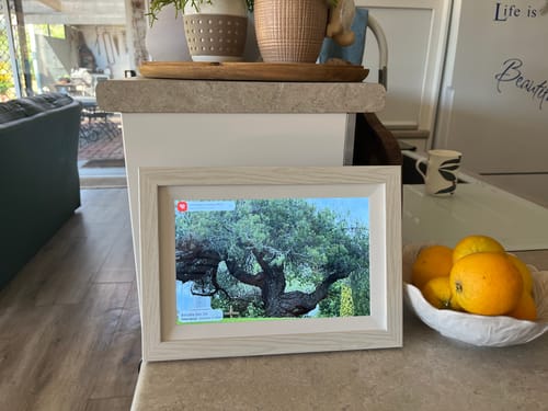 Customer photo review of Digital Photo Frame