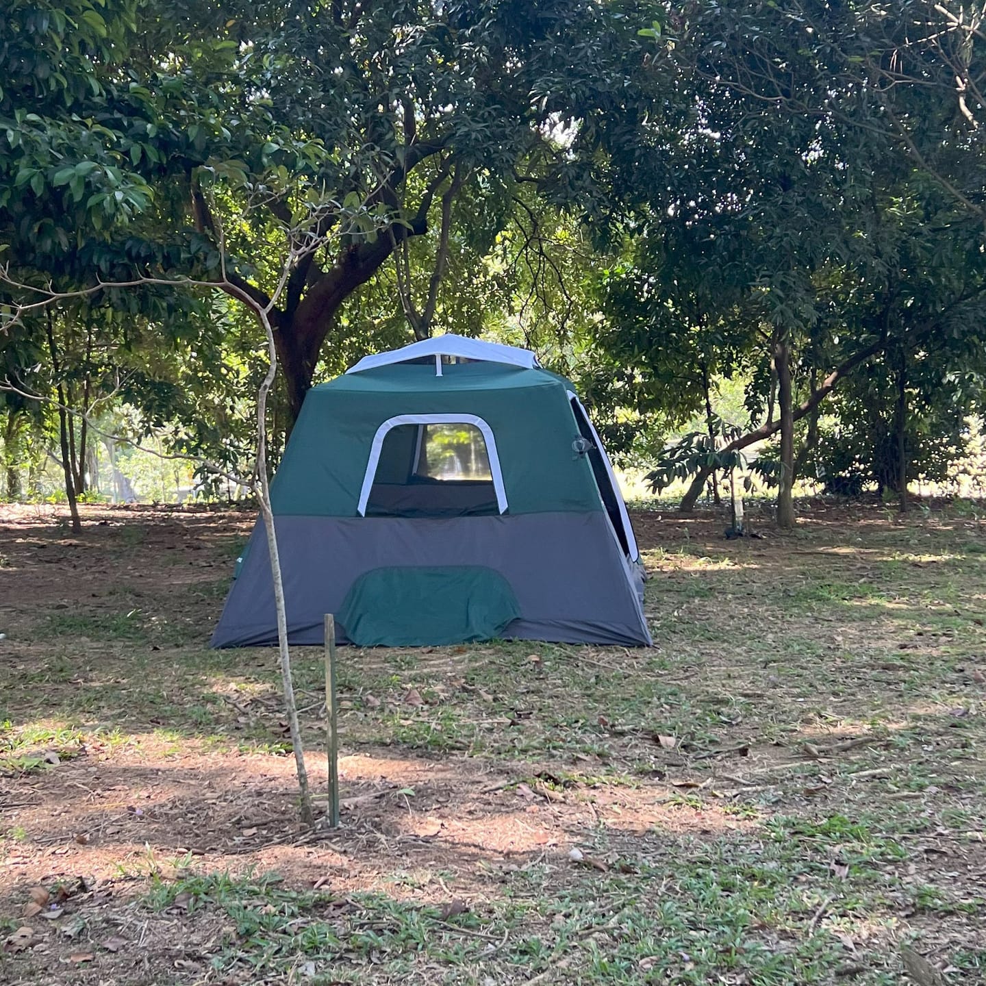 Customer photo review of 2-Step Cabin Tent