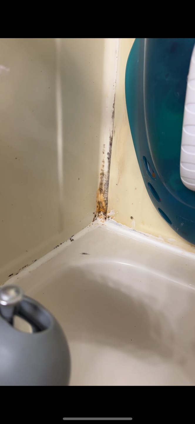 Customer photo review of GLASSGUARD™ Miracle Mold Stain Cleaner Gel