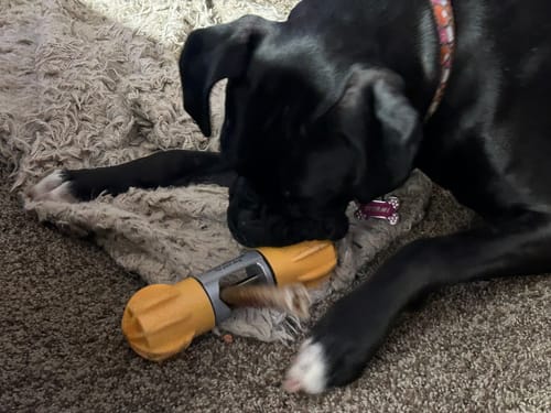 Customer photo review of SAFE DOG CHEW HOLDER