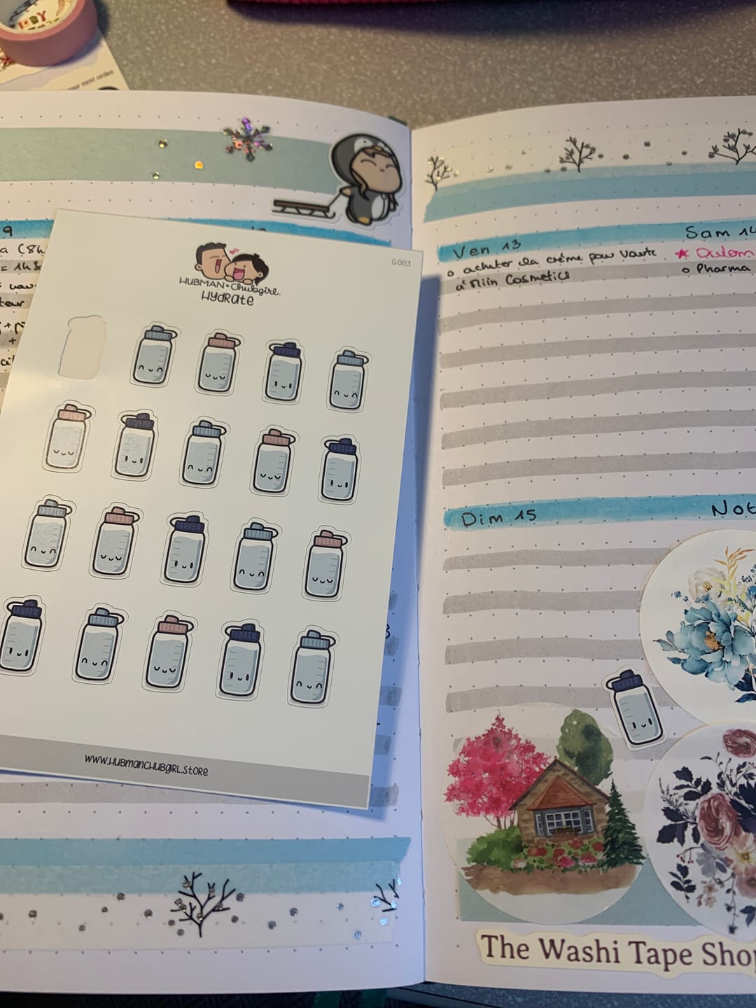 Customer photo review of Hydrate Planner Stickers