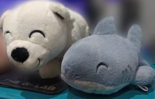 Customer photo review of Shark Adoption Plushie