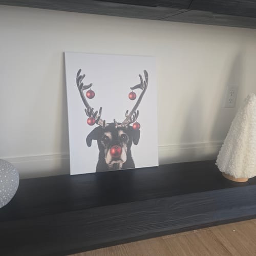 Customer photo review of Reindeer
