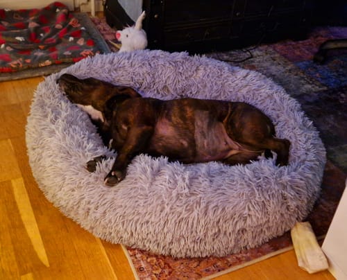 Customer photo review of CalmBed - Motverkar stress & hjälper mot ångest