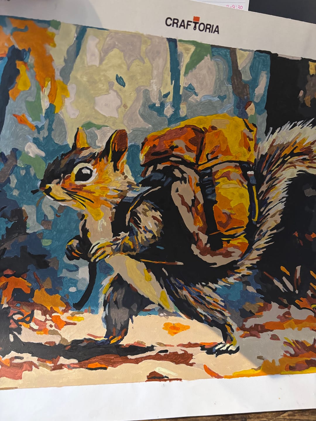 Customer photo review of Backpacking Squirrel