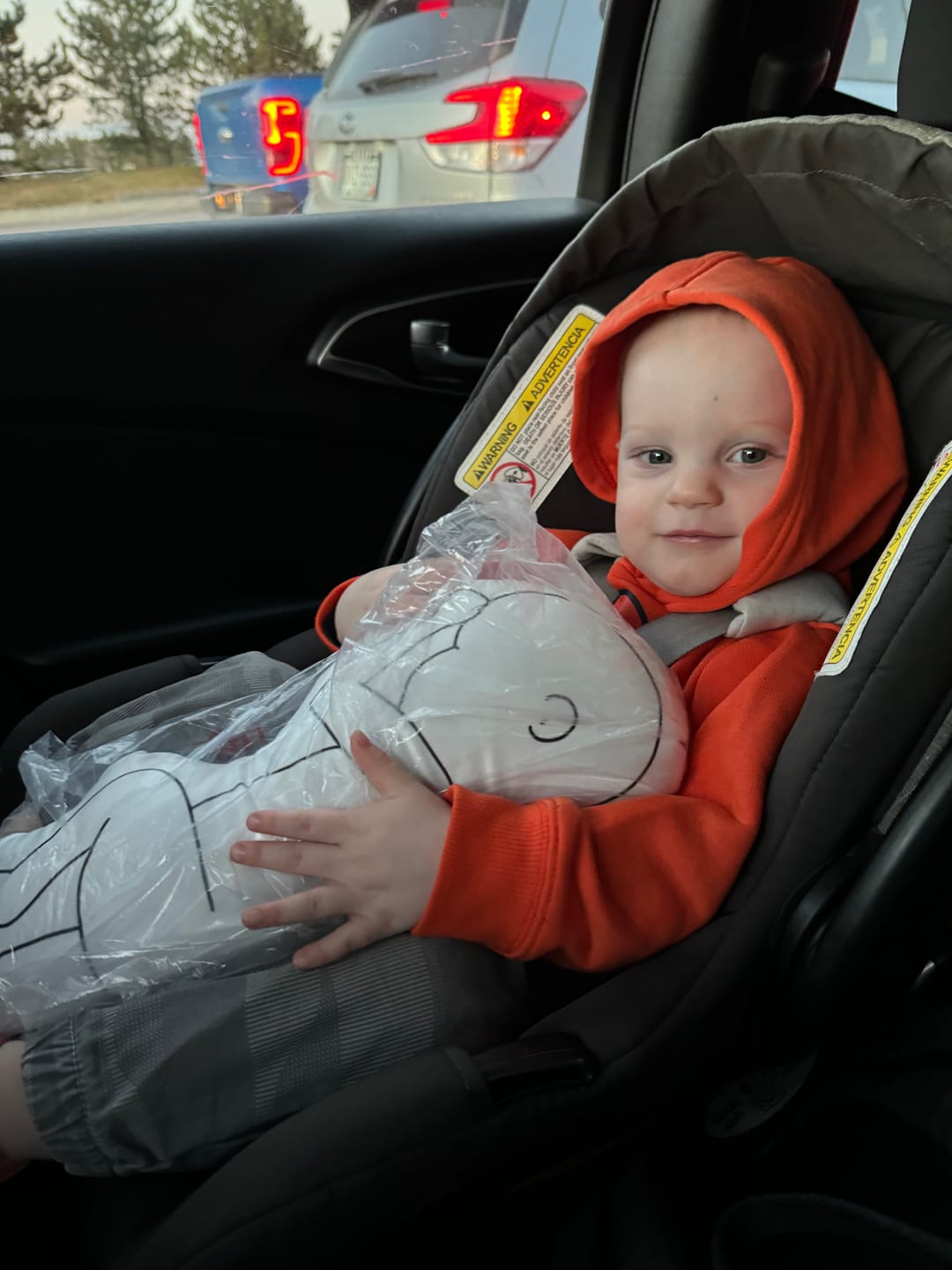 Customer photo review of Birth Pillow Classy One