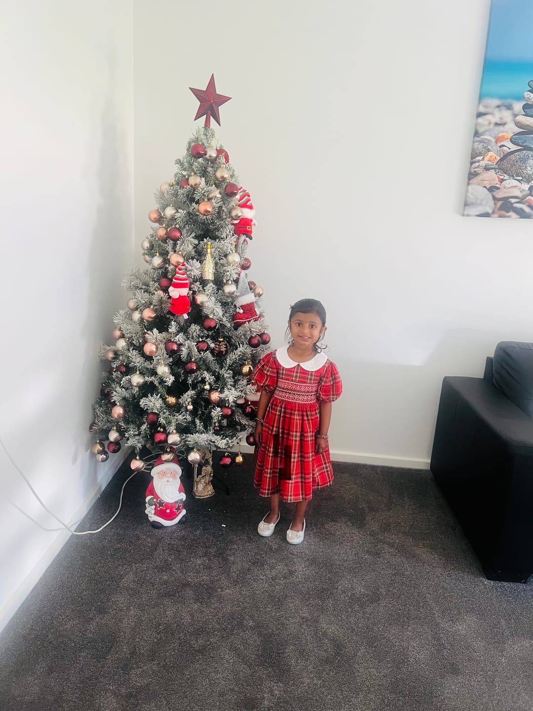 Customer photo review of Red Tartan Dress