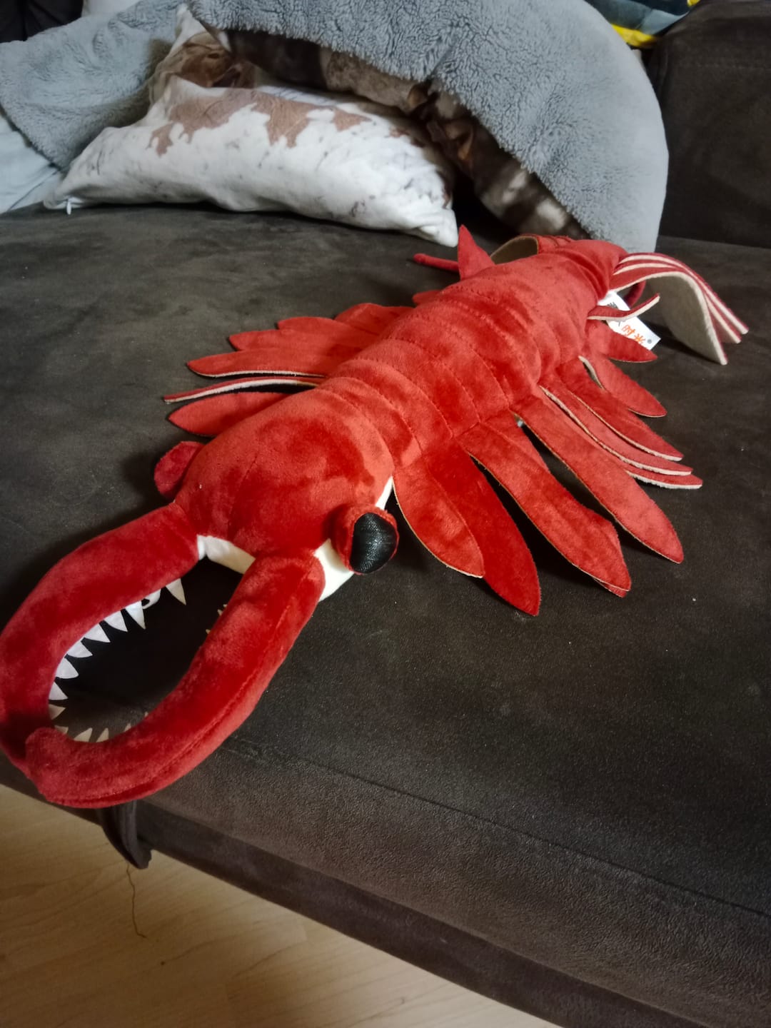 Customer photo review of Anomalocaris Arthropod Soft Stuffed Plush Toy